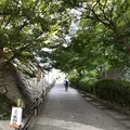 丸亀城の写真_224509