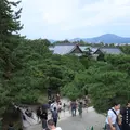元離宮 二条城の写真_226488