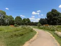 万博記念公園の写真_228232