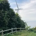 十六島風車公園の写真_228309