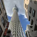 東京スカイツリーの写真_229480