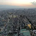 東京スカイツリーの写真_229482