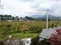 原田農園の写真_233854