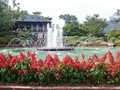 箱根強羅公園の写真_234369