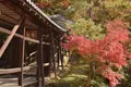 高台寺の写真_236463