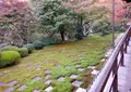 東福寺の写真_239796