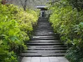 明月院（あじさい寺）の写真_239849