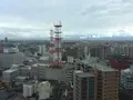 富山市役所展望塔の写真_240677