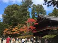 日光東照宮の写真_242440