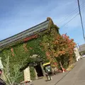 小樽運河の写真_243581