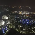 Marina Bay Sands Singapore（マリーナベイ・サンズ）の写真_245479