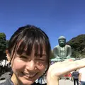 鎌倉大仏（高徳院）の写真_246715