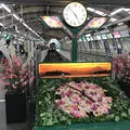 江ノ島電鉄（株） 鉄道部藤沢駅の写真_246731