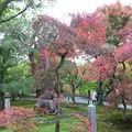 東福寺の写真_247364