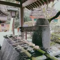 上賀茂神社（賀茂別雷神社）の写真_247603