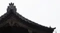 諸上寺の写真_249986