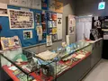 広島城の写真_250732