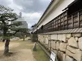 広島城の写真_250740
