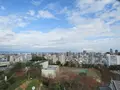 浜松城の写真_253471