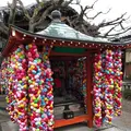 八坂庚申堂の写真_254656