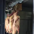 横浜中華街の写真_259319