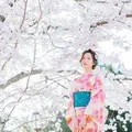 着物レンタル 富士 清水寺店 | 京都 浴衣レンタル | 人気 安い 当日 予約なしの写真_259994