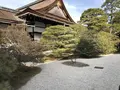 京都御苑の写真_260604