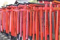 根津神社の写真_263022