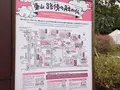 高台寺の写真_26345