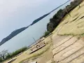 東名高速道路 浜名湖サービスエリアの写真_264577