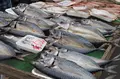 館鼻岸壁朝市の写真_265576