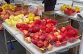 館鼻岸壁朝市の写真_265577