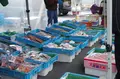 館鼻岸壁朝市の写真_265578