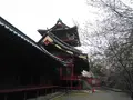静岡浅間神社の写真_267824