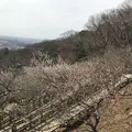筑波山の写真_273313