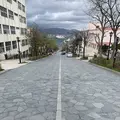 八幡坂の写真_274824