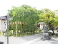 足羽神社の写真_276790