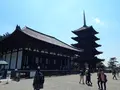 興福寺 東金堂の写真_279703