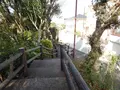 明石公園の写真_280189