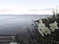 赤穂御崎の写真_280245