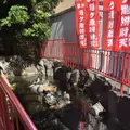 亀ケ池弁財天の写真_281173