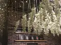 パフェ専門店 Lampの写真_282067