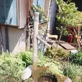 大洗磯前神社の写真_282136