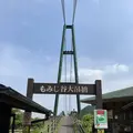 森林の駅　もみじ谷大吊橋の写真_282517