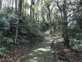 孝安天皇 玉手丘上陵の写真_282563