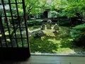 建仁寺の写真_283798