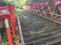 朝市新鮮広場の写真_287597