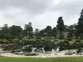 元離宮 二条城の写真_288683