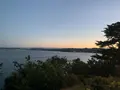 ザ インペリアル トーキーの写真_289107