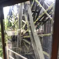 みずほの村市場 蕎舎の写真_290019
